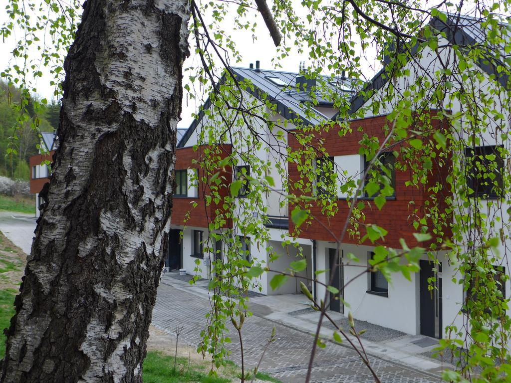 Zloty Widok