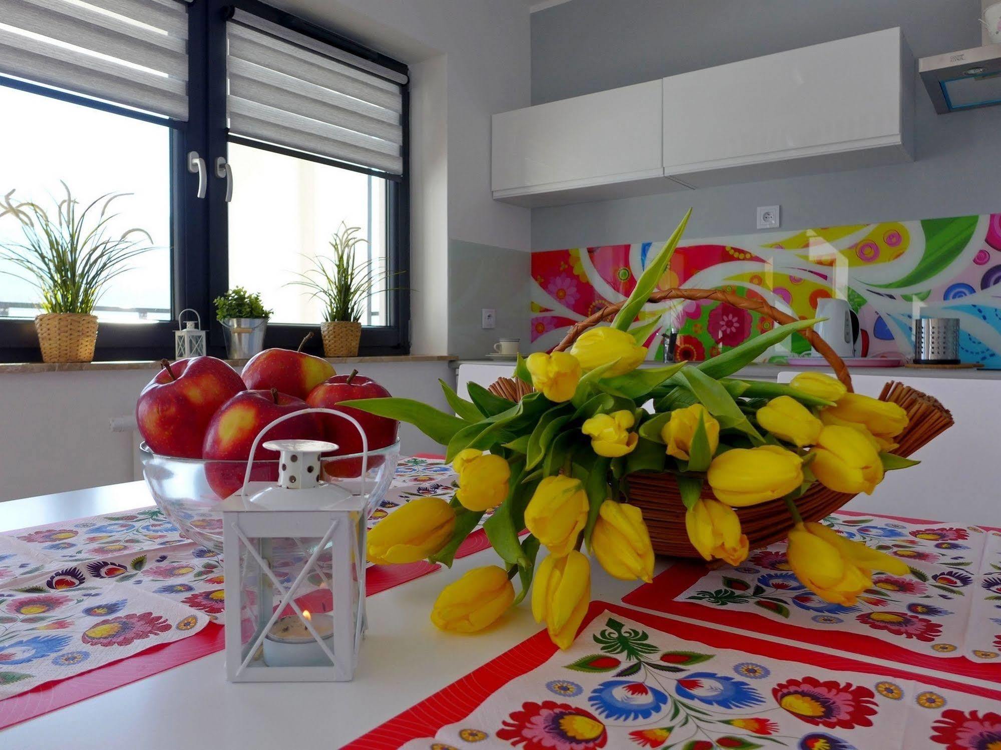 Zloty Widok Apartment *